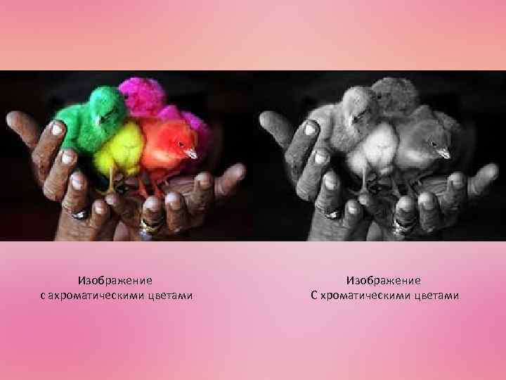 Изображение с ахроматическими цветами Изображение С хроматическими цветами 