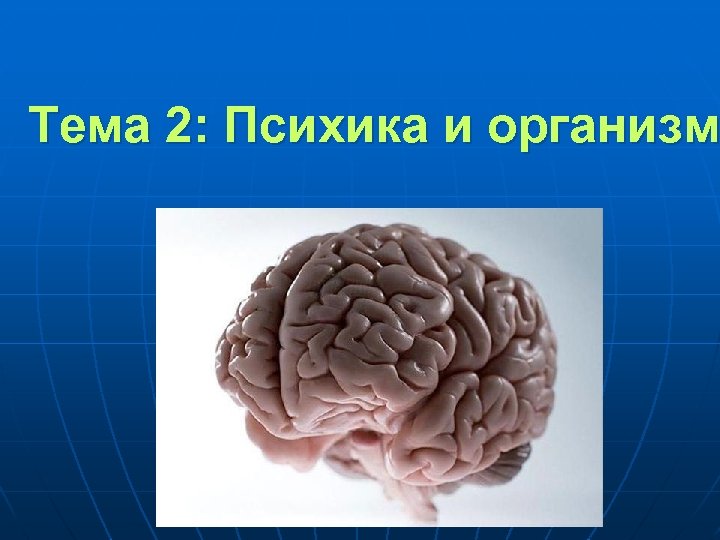 Презентация на тему психика