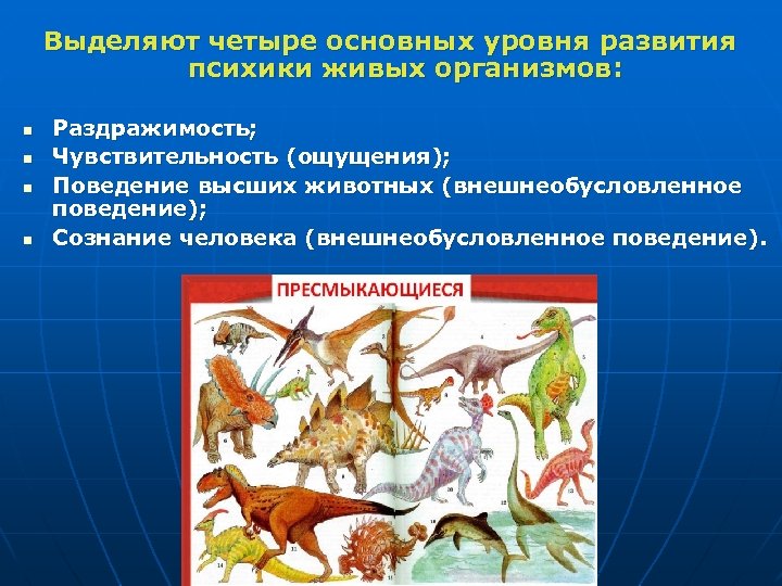 Четыре главных. Четыре уровня развития психики живых организмов. Уровни развития психики живых организмов. Раздражимость чувствительность поведение сознание. Уровни развития психики живых организмов в психологии.