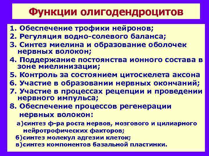 Функции олигодендроцитов 1. Обеспечение трофики нейронов; 2. Регуляция водно-солевого баланса; 3. Синтез миелина и