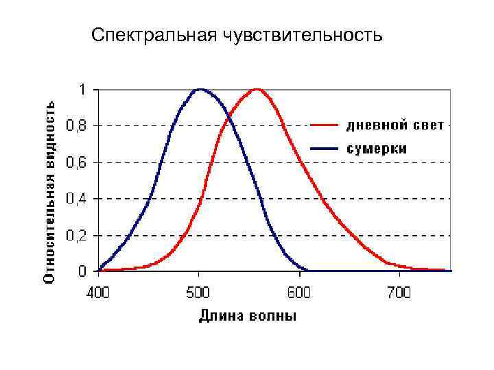 Спектральная чувствительность 