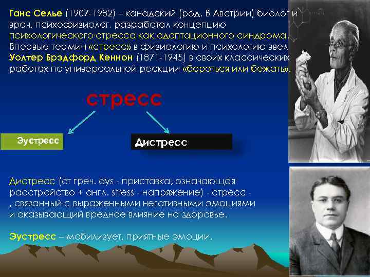 Ганс селье теория стресса. Ганс Селье эустресс и дистресс. Канадский биолог Ганс Селье (1907–1982). Теория Ганса Селье. Ганс Селье и Уолтер Кеннон стресс.