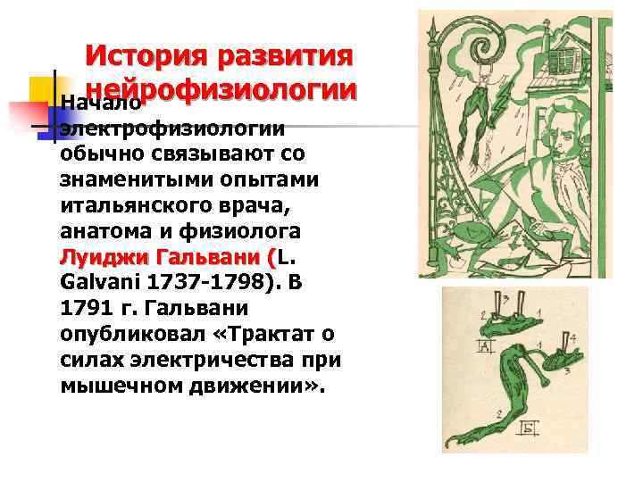 История развития нейрофизиологии Начало электрофизиологии обычно связывают со знаменитыми опытами итальянского врача, анатома и