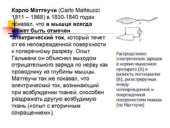 Карло Маттеучи (Carlo Matteucci 1811 – 1868) в 1830 -1840 годах показал, что в