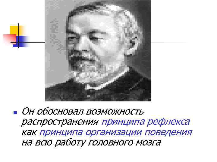 n Он обосновал возможность распространения принципа рефлекса как принципа организации поведения на всю работу