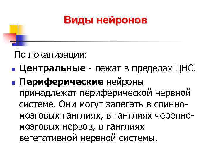 Виды нейронов По локализации: n Центральные - лежат в пределах ЦНС. n Периферические нейроны