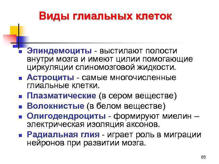 Виды глиальных клеток n n n Эпиндемоциты - выстилают полости внутри мозга и имеют