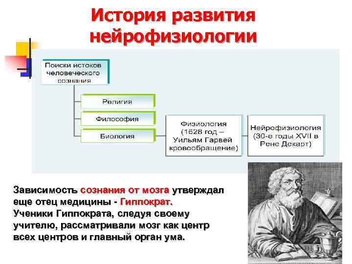 История развития нейрофизиологии Зависимость сознания от мозга утверждал еще отец медицины - Гиппократ. Ученики