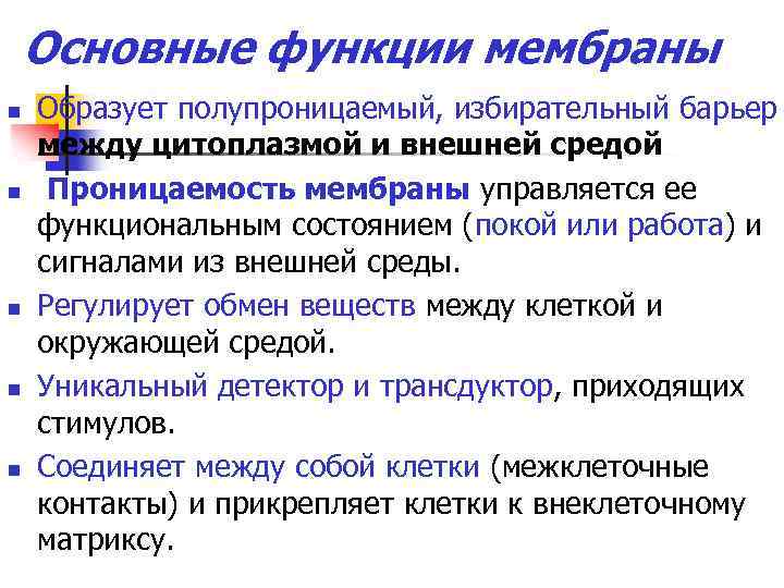 Основные функции мембраны n n n Образует полупроницаемый, избирательный барьер между цитоплазмой и внешней