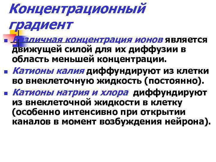 Концентрационный градиент n n n Различная концентрация ионов является движущей силой для их диффузии