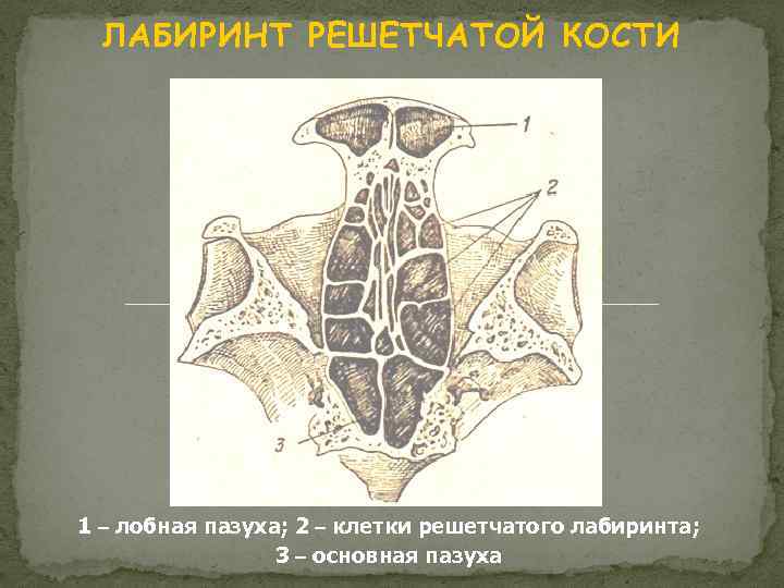 Решетчатые функции и их изображения