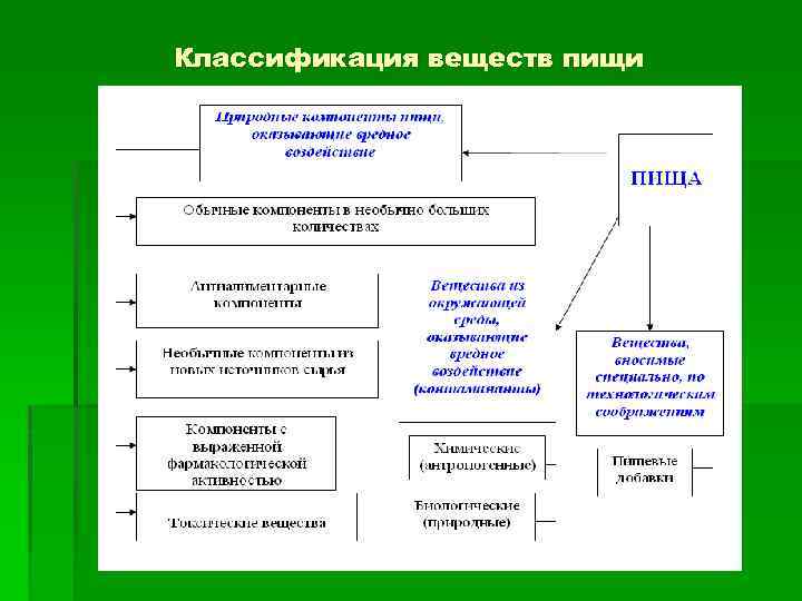 Классификация веществ пищи 
