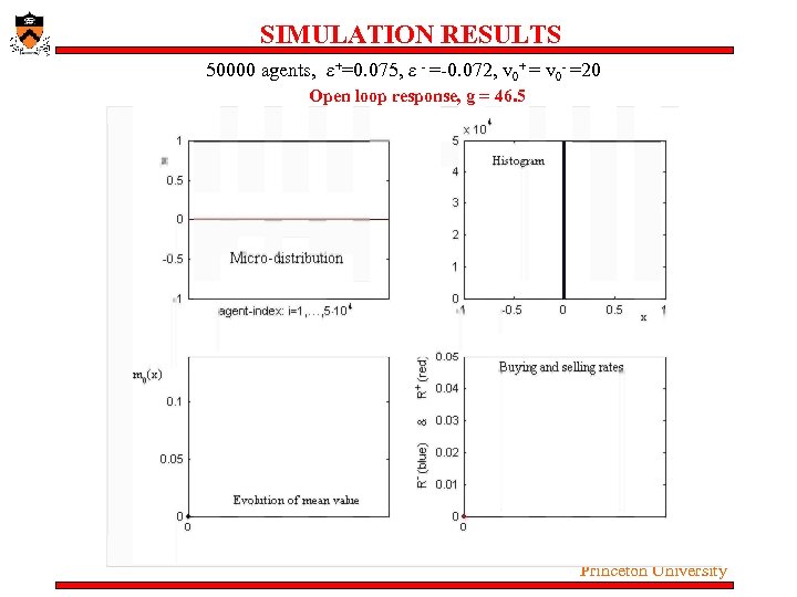 SIMULATION RESULTS 50000 agents, ε+=0. 075, ε - =-0. 072, v 0+ = v