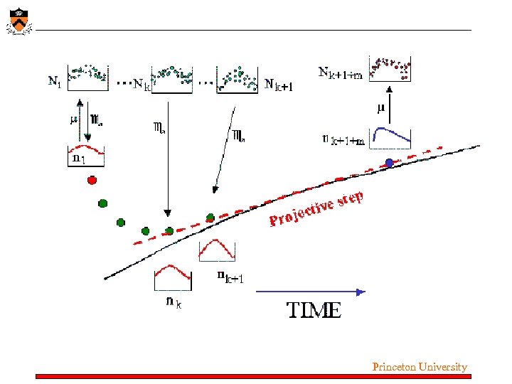 Princeton University 