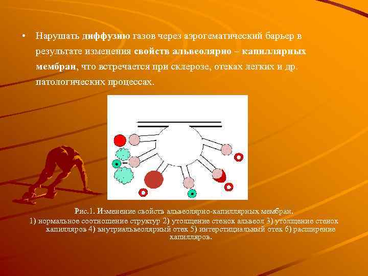  • Нарушать диффузию газов через аэрогематический барьер в результате изменения свойств альвеолярно –