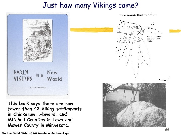 Just how many Vikings came? This book says there are now fewer than 42