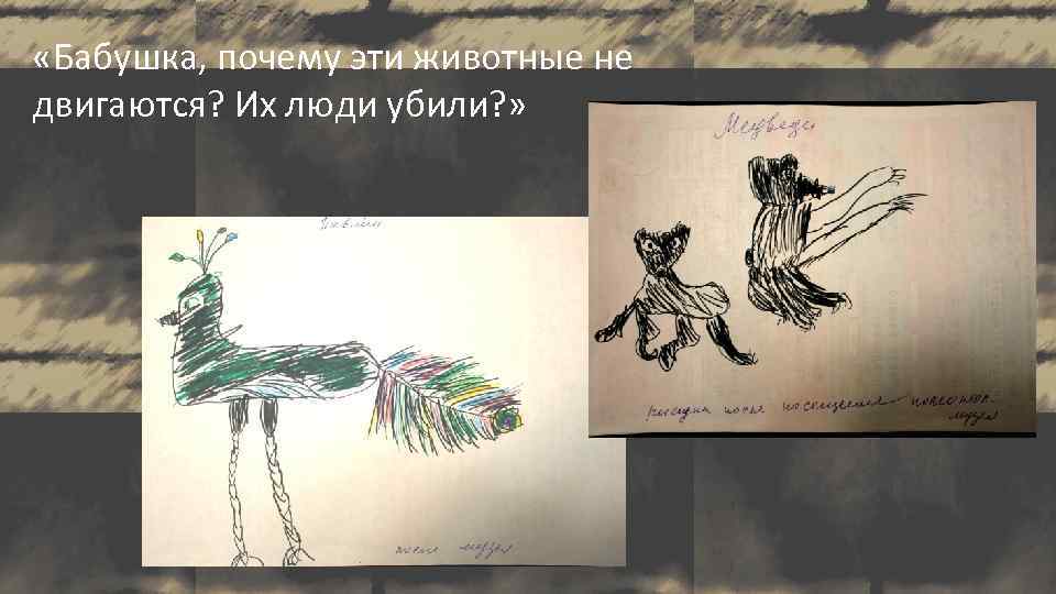  «Бабушка, почему эти животные не двигаются? Их люди убили? » 