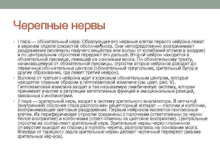 Черепные нервы • I пара — обонятельный нерв. Образующие его нервные клетки первого нейрона