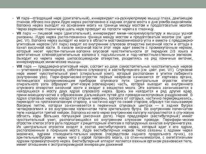  • VI пара—отводящий нерв (двигательный), иннервирует на ружнуюпрямую мышцу глаза, двигающую глазное яблоко