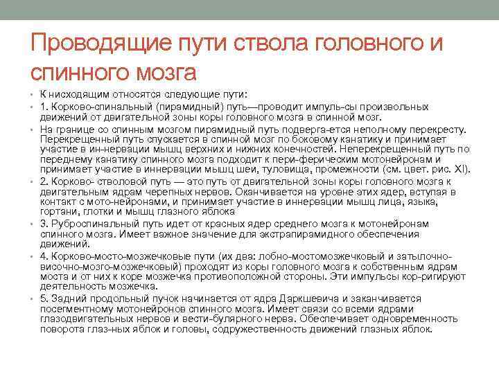 Проводящие пути ствола головного и спинного мозга • К нисходящим относятся следующие пути: •