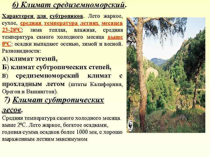 6) Климат средиземноморский. Характерен для субтропиков. Лето жаркое, сухое, средняя температура летних месяцев 23