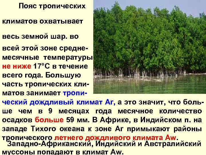 Пояс тропических климатов охватывает весь земной шар. во всей этой зоне среднемесячные температуры не