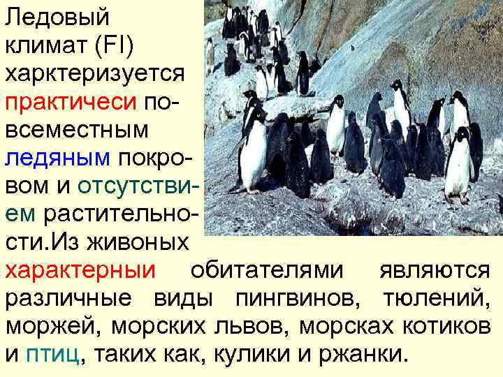 Ледовый климат (FI) харктеризуется практичеси повсеместным ледяным покровом и отсутствием растительности. Из живоных характерныи