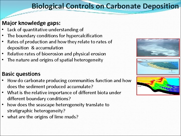 Biological Controls on Carbonate Deposition Major knowledge gaps: • Lack of quantitative understanding of