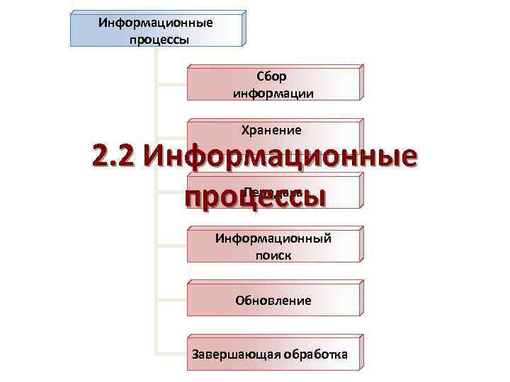 Информационные процессы Сбор информации Хранение 2. 2 Информационные Передача процессы Информационный поиск Обновление Завершающая