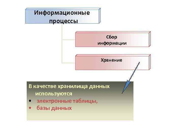 Информационные процессы Сбор информации Хранение В качестве хранилища данных используются • электронные таблицы, •