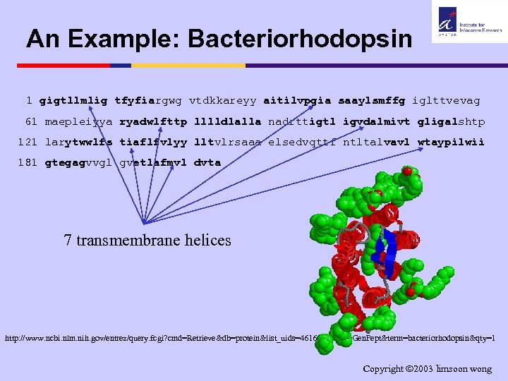 An Example: Bacteriorhodopsin 1 gigtllmlig tfyfiargwg vtdkkareyy aitilvpgia saaylsmffg iglttvevag 61 maepleiyya ryadwlfttp lllldlalla