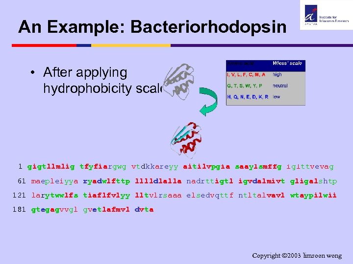 An Example: Bacteriorhodopsin • After applying hydrophobicity scale. . . 1 gigtllmlig tfyfiargwg vtdkkareyy