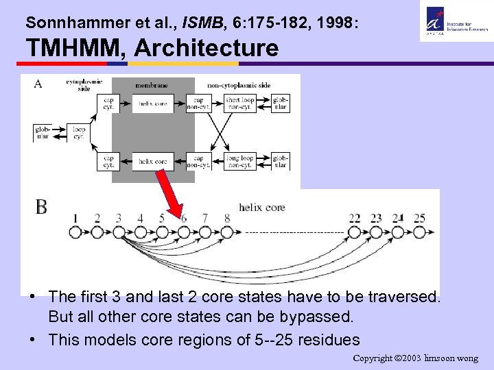 Sonnhammer et al. , ISMB, 6: 175 -182, 1998: TMHMM, Architecture • The first