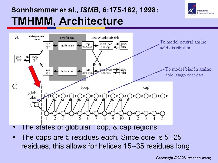 Sonnhammer et al. , ISMB, 6: 175 -182, 1998: TMHMM, Architecture To model neutral