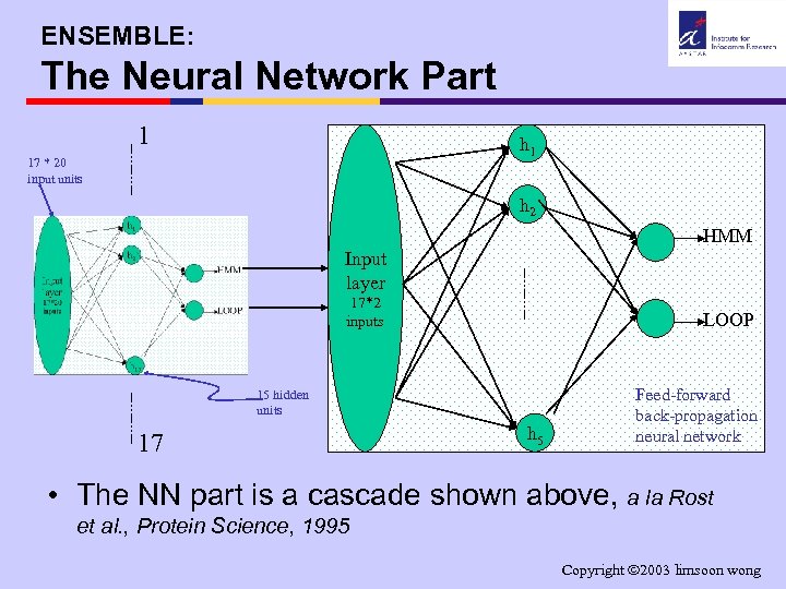 ENSEMBLE: The Neural Network Part 1 h 1 17 * 20 input units h