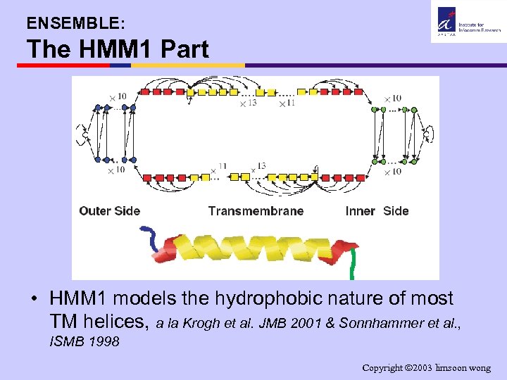 ENSEMBLE: The HMM 1 Part • HMM 1 models the hydrophobic nature of most