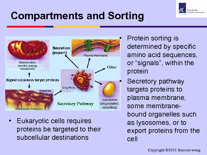 Compartments and Sorting • Eukaryotic cells requires proteins be targeted to their subcellular destinations