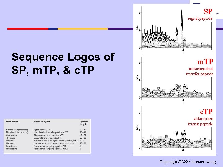 SP signal peptide Sequence Logos of SP, m. TP, & c. TP mitochondrial transfer