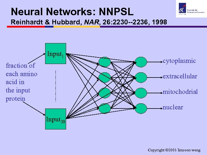 Neural Networks: NNPSL Reinhardt & Hubbard, NAR, 26: 2230 --2236, 1998 Input 1 fraction