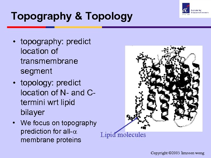 Topography & Topology • topography: predict location of transmembrane segment • topology: predict location