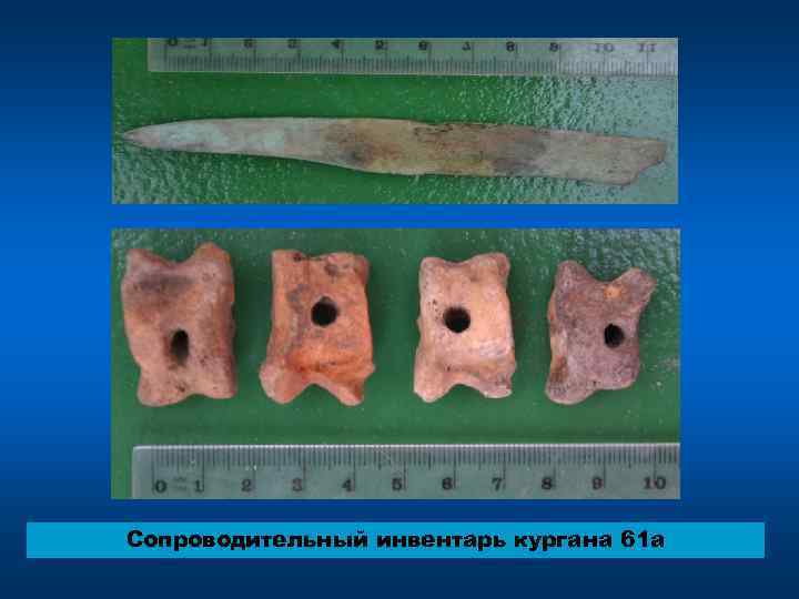 Сопроводительный инвентарь кургана 61 a 