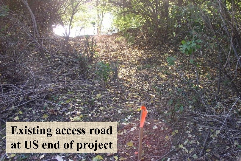 Existing access road at US end of project 