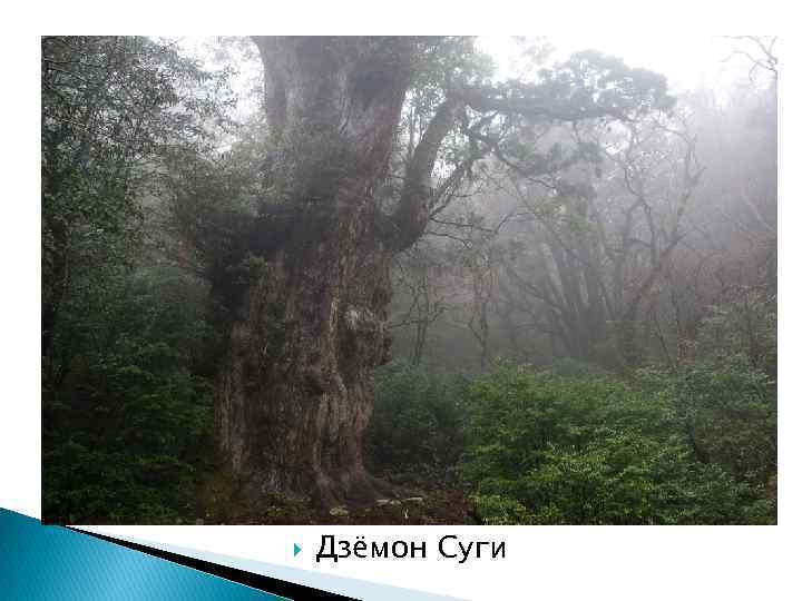  Дзёмон Суги 