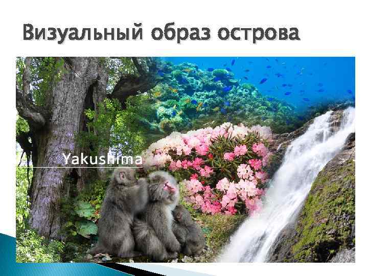 Визуальный образ острова 
