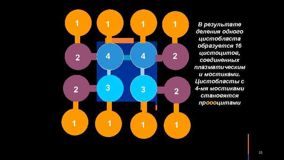  1 1 4 1 1 2 4 4 2 2 3 3 2