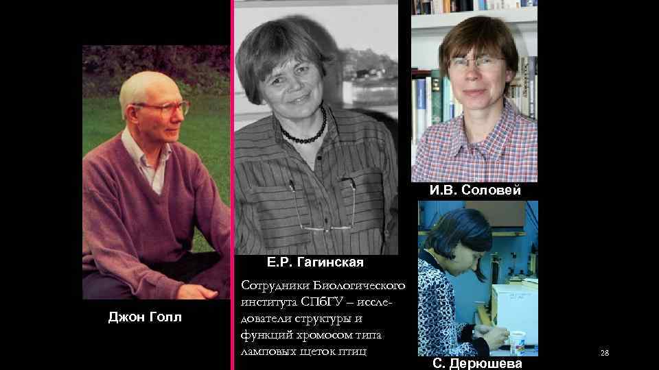 И. В. Соловей Е. Р. Гагинская Джон Голл Сотрудники Биологического института СПб. ГУ –