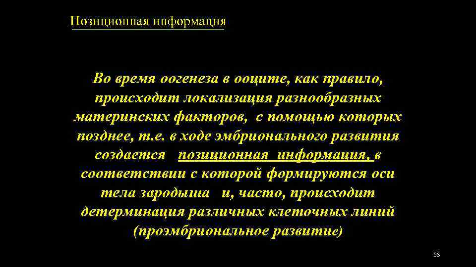 Позиционная информация Во время оогенеза в ооците, как правило, происходит локализация разнообразных материнских факторов,