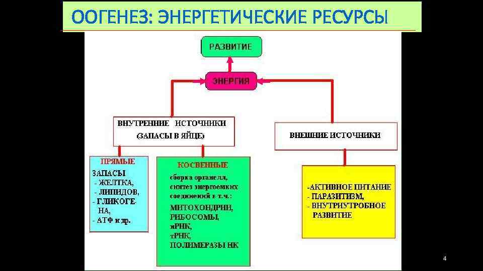 ООГЕНЕЗ: ЭНЕРГЕТИЧЕСКИЕ РЕСУРСЫ 4 