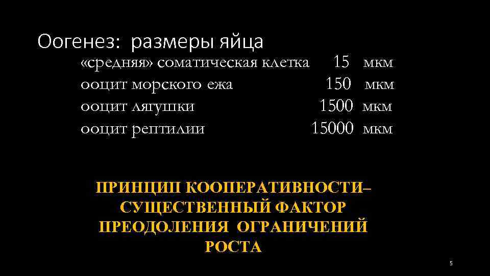 Оогенез: размеры яйца «средняя» соматическая клетка 15 ооцит морского ежа 150 ооцит лягушки 1500