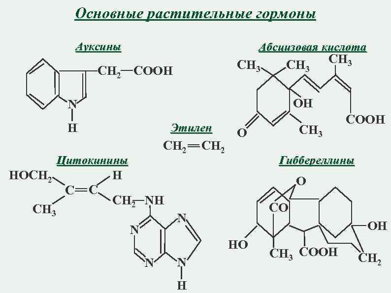 Основные растительные гормоны Ауксины Абсцизовая кислота CH 3 CH 2 COOH CH 3 OH
